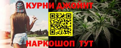 мдпв Татарск