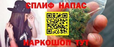 мдпв Татарск