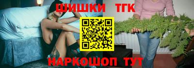 мдпв Татарск