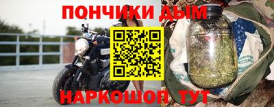 шишки Тверь