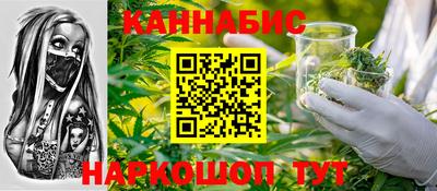 шишки Тверь