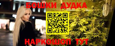 мдпв Татарск