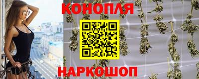 мдпв Татарск
