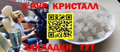 шишки Тверь