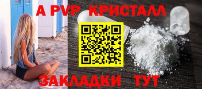 шишки Тверь