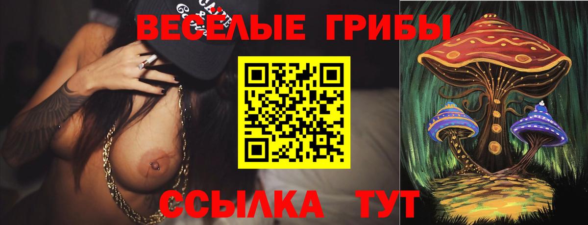 Галлюциногенные грибы ЛСД  Вход с VPN  Галлюциногенные грибы Cubensis  Будённовск 